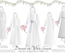 Tznius Wedding Gowns