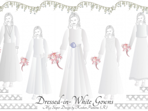 Tznius Bridal Gowns